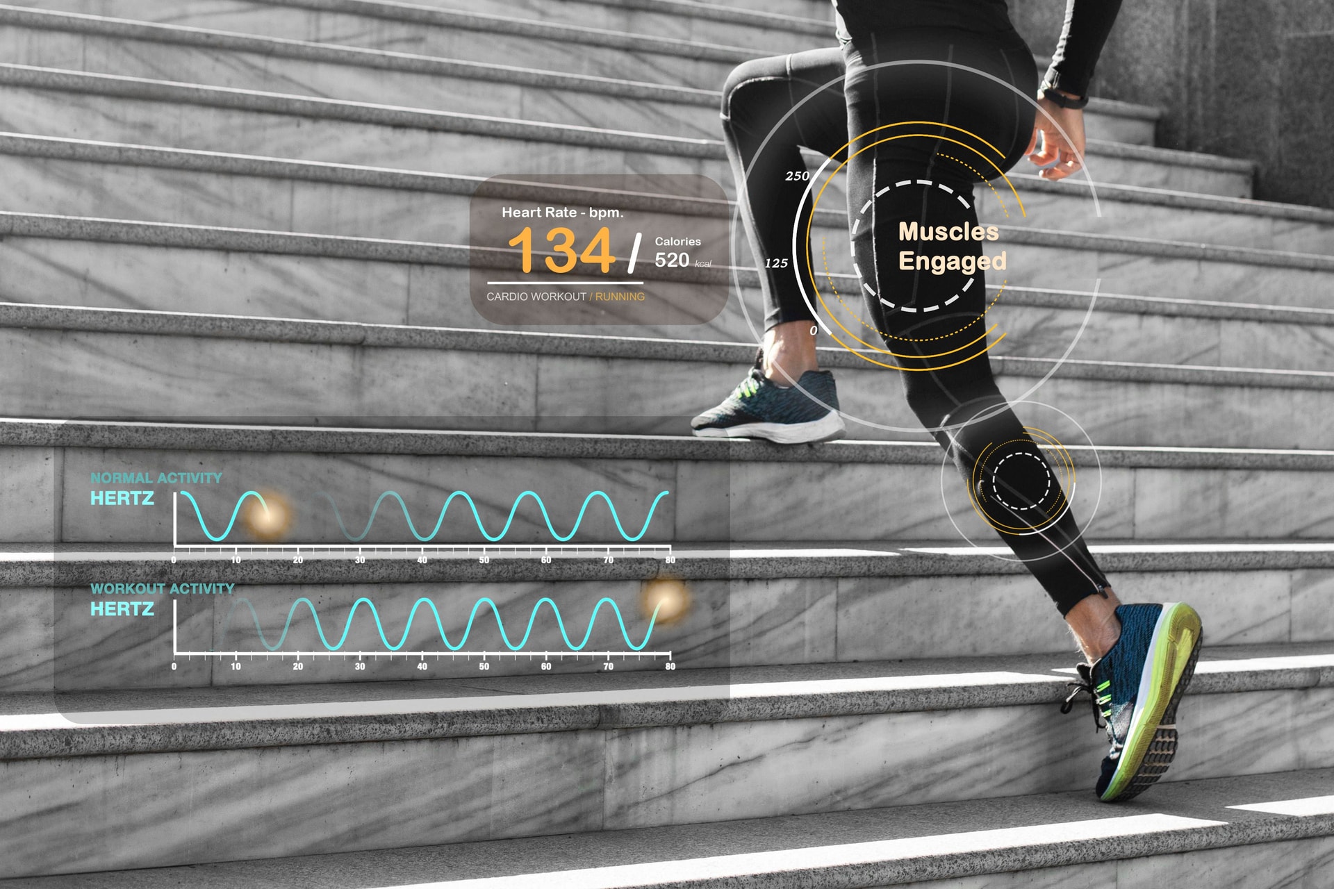 Gait Analysis